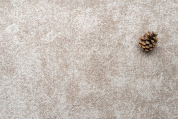 Condor Carpets, Metrážny koberec Serena 6622, na mieru, šíře 4m,5m, béžová, filc, obývacia izba