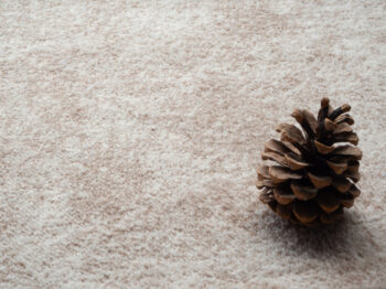 Condor Carpets, Metrážny koberec Serena 6622, na mieru, šíře 4m,5m, béžová, filc, obývacia izba
