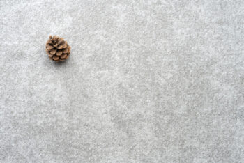 Condor Carpets, Metrážny koberec Serena 6631, na mieru, šíře 5m, šedá, filc, obývacia izba