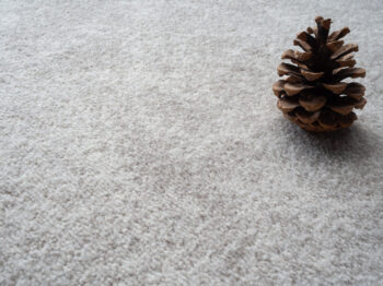 Condor Carpets, Metrážny koberec Serena 6631, na mieru, šíře 5m, šedá, filc, obývacia izba