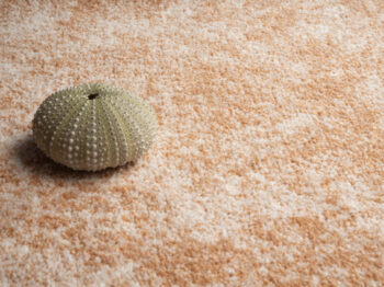 Condor Carpets, Metrážny koberec Serena 6632, na mieru, šíře 4m,5m, oranžová, filc, obývacia izba