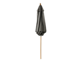 Corypho slnečník sivý 250 cm