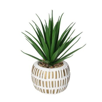 Dekorácia Aloe Vera v kvetináči 13cm, 8 x 8 x 13 cm