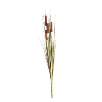 Dekorácia Tatarak 65cm light brown, 2 x 2 x 65 cm