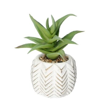 Dekorácie Aloes I 14cm, 8 x 8 x 14 cm