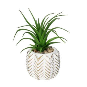 Dekorácie Aloes II 14cm, 8 x 8 x 14 cm