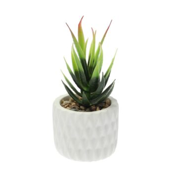 Dekorácie Sansevieria 12cm, 8 x 8 x 12 cm