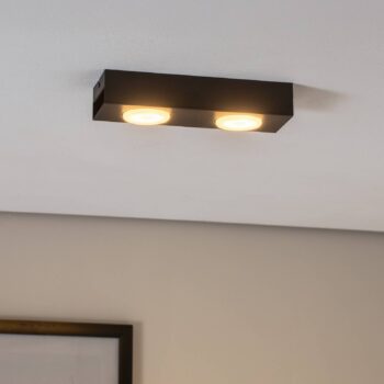 Downlight Ian v čiernej farbe, 2-plameňové