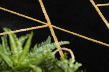 Dywany Łuszczów, AKCIA: 120x120 (průměr) kruh cm Kusový koberec Emerald geometric 1012 black and gold kruh, čierna, chodba / predsieň