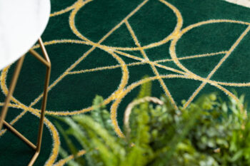 Dywany Łuszczów, Kusový koberec Emerald 1010 green and gold, 160x220, zelená, kancelária