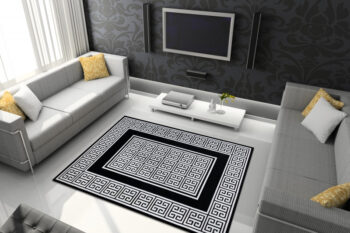 Dywany Łuszczów, Kusový koberec Gloss 6776 85 greek black/ivory, 160x220, čiernobiela, chodba / predsieň