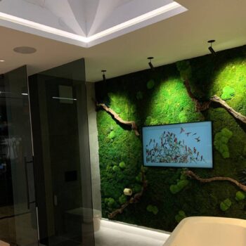 Egger DLS LED reflektor Zooom XL, povrchová montáž, 2 700 K, čierny