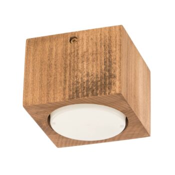 Envostar Ernest Downlight GX53 z dreva, hranaté
