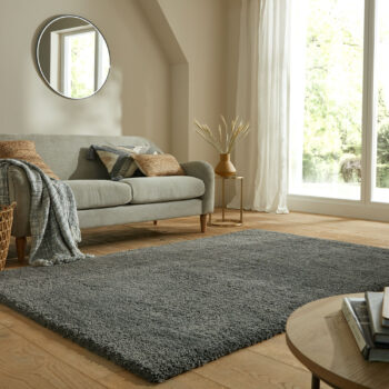 Flair Rugs, Kusový koberec Shaggy Teddy Charcoal, 200x290, šedá, detská izba