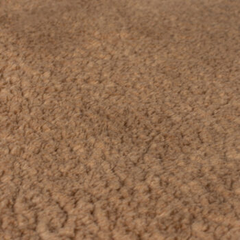 Flair Rugs, Kusový koberec Softie Camel, 200x290, hnedá, obývacia izba