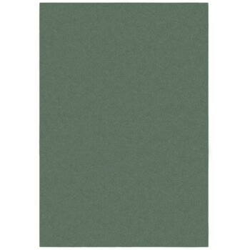 Flair Rugs, Kusový koberec Softie Lilypad, 200x290, zelená, obývacia izba