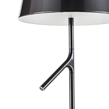 Foscarini Birdie LED Lettura stojaca lampa grafit