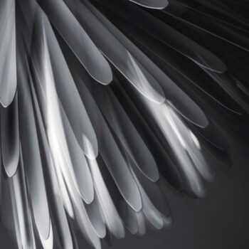 Foscarini Sun - Závesné LED svietidlo Light of Love biele