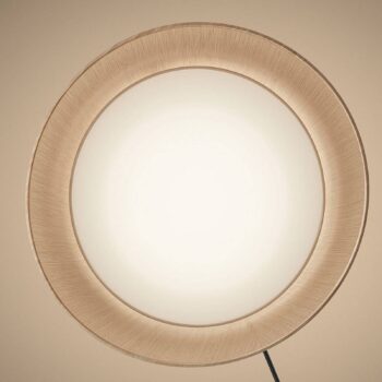 Foscarini Twiggy Wood MyLight stojaca lampa čierna