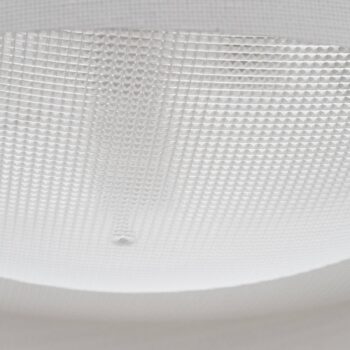 Foscarini Twiggy grande závesná lampa, biela