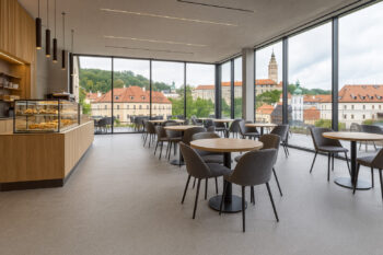 Gerflor, PVC podlaha - lino AladinTex Ultra 2253, na mieru, šíře 4m, šedá, filc, chodba / predsieň