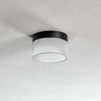 Helestra Liv stropné LED svetlo satinované Ø 15 cm