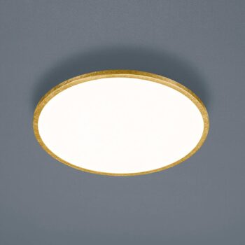 Helestra Rack stropné LED stmieva okrúhle zlaté
