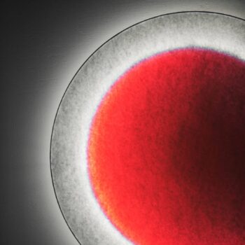 Ingo Maurer MOODMOON nástenné LED, RGBW, okrúhle