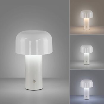 JUST LIGHT. Dobíjacia stolná lampa Agnes LED, biela, železo, CCT