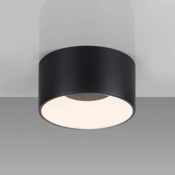 JUST LIGHT. LED stropné svietidlo Tanika čierne, Ø16cm, stmievateľné