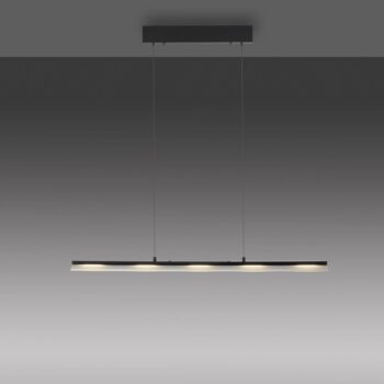 JUST LIGHT. LED závesné svetlo Nele, čierna farba, železo, sklo
