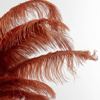 KARE Feather Palm lampa s perím, hrdzavočervená