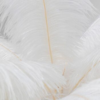 KARE Feather Palm stojacia lampa s perím, biela