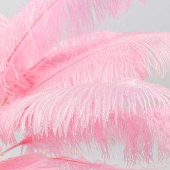 KARE Feather Palm stojacia lampa s perím, ružová