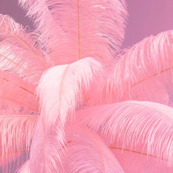 KARE Feather Palm stojacia lampa s perím, ružová