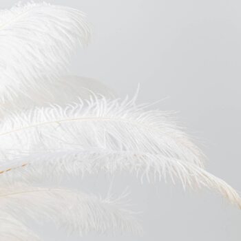 KARE Feather Palm stolová lampa s perím, biela