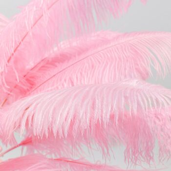 KARE Feather Palm stolová lampa s perím, ružová