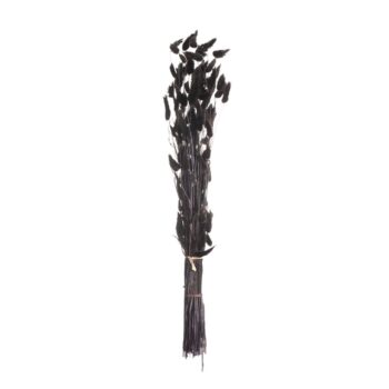 Kytica fúkačiek 60cm dark brown, 5 x 5 x 60 cm