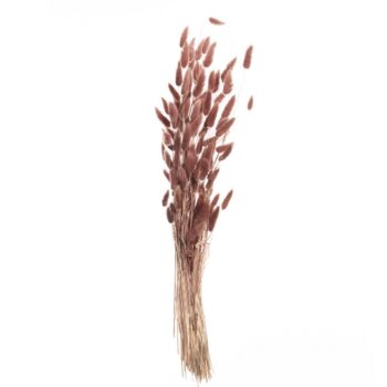 Kytica fúkačiek 60cm dusty pink, 5 x 5 x 60 cm