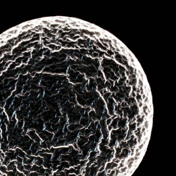 LED nástenné svietidlo Luna, hnedo-čierno-strieborné, Ø 120 cm, železo
