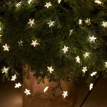 LED rozprávkové svetlá Trille, 40 svetiel, zelený kábel