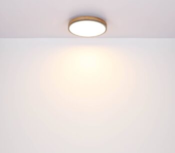 LED stropné svietidlo Doro, Ø 45 cm, tmavý grafit/drevo, drevo, 830