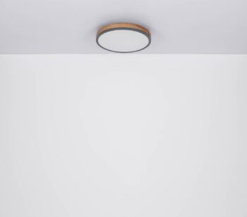 LED stropné svietidlo Doro, Ø 45 cm, tmavý grafit/drevo, drevo, 830