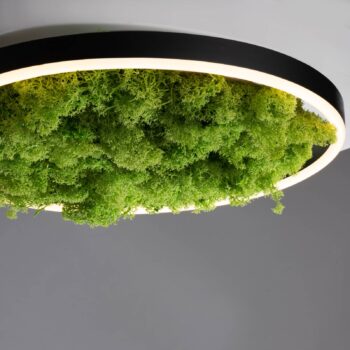 LED stropné svietidlo Green Ritus, mach stmievateľné Ø39,3cm