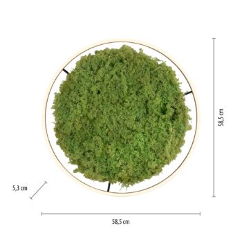 LED stropné svietidlo Green Ritus, mach stmievateľné Ø58,5cm