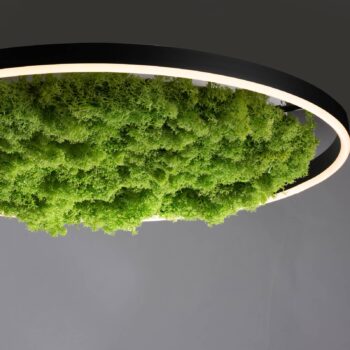 LED stropné svietidlo Green Ritus, mach stmievateľné Ø58,5cm