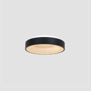 LED stropné svietidlo Ringlede 2 700 K Ø 30 cm čierne