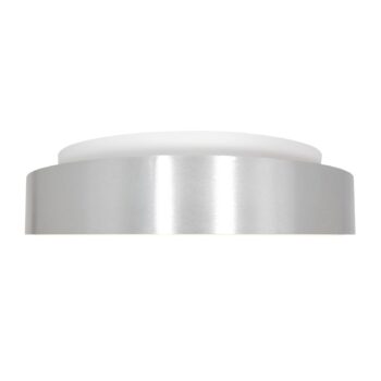 LED stropné svietidlo Ringlede, 2 700 K Ø 38 cm strieborná