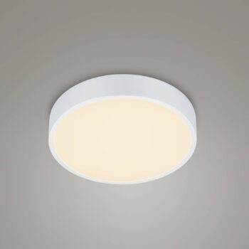 LED stropné svietidlo Waco, CCT, Ø 31 cm, matná biela