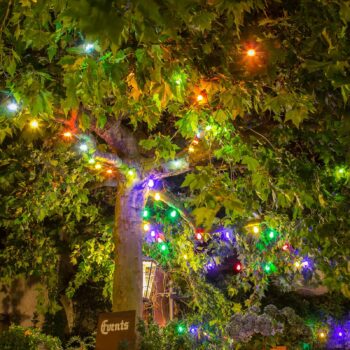 LED svetelná reťaz na predĺženie pivnej záhrady, farebná